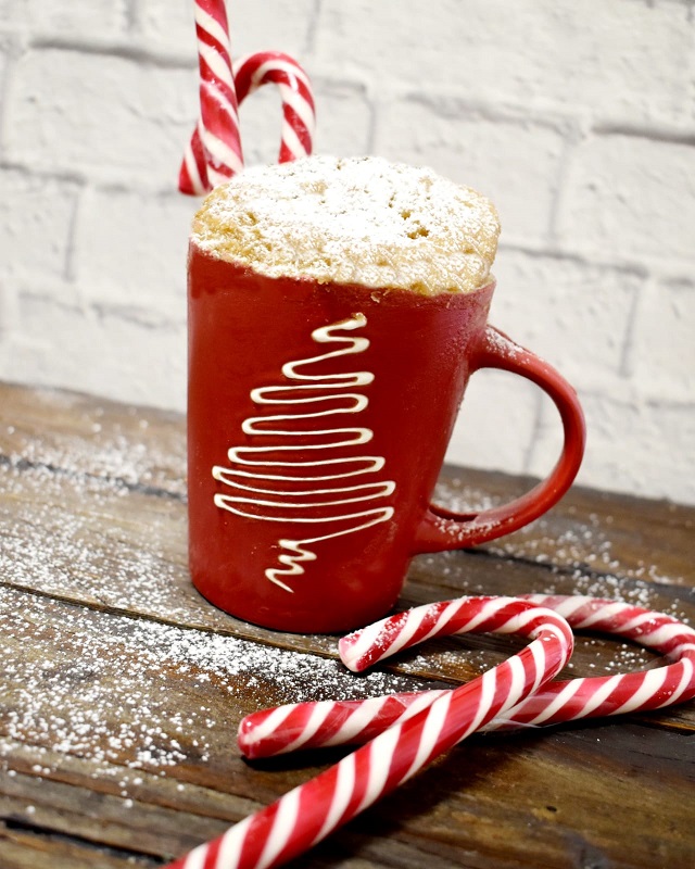 MUG CAKE PANDIZENZERO